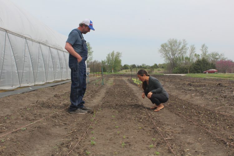 Eudora Giving Garden ready to bloom in new, larger location News, Sports, Jobs Lawrence